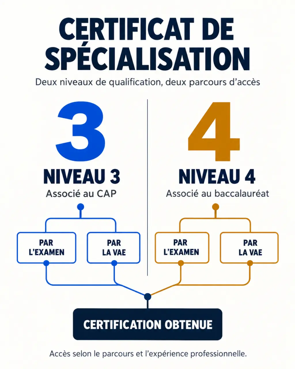 Certificat de spécialisation : comparaison visuelle des niveaux 3 et 4, de l’examen et de la VAE